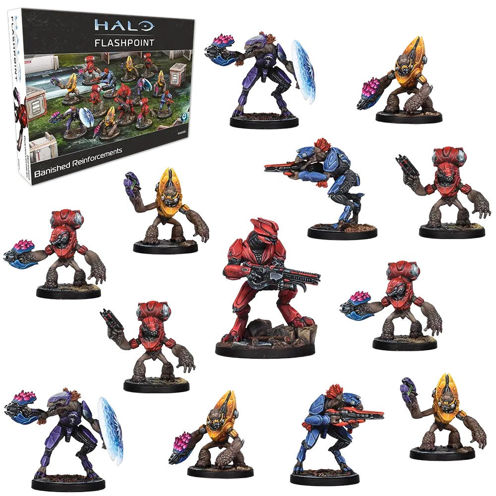Halo: Flashpoint - Banished Reinforcements