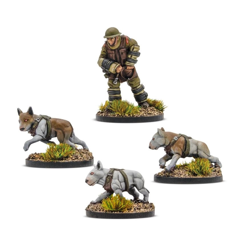 Konflikt '47: British Commonwealth Cerberus Squad 1
