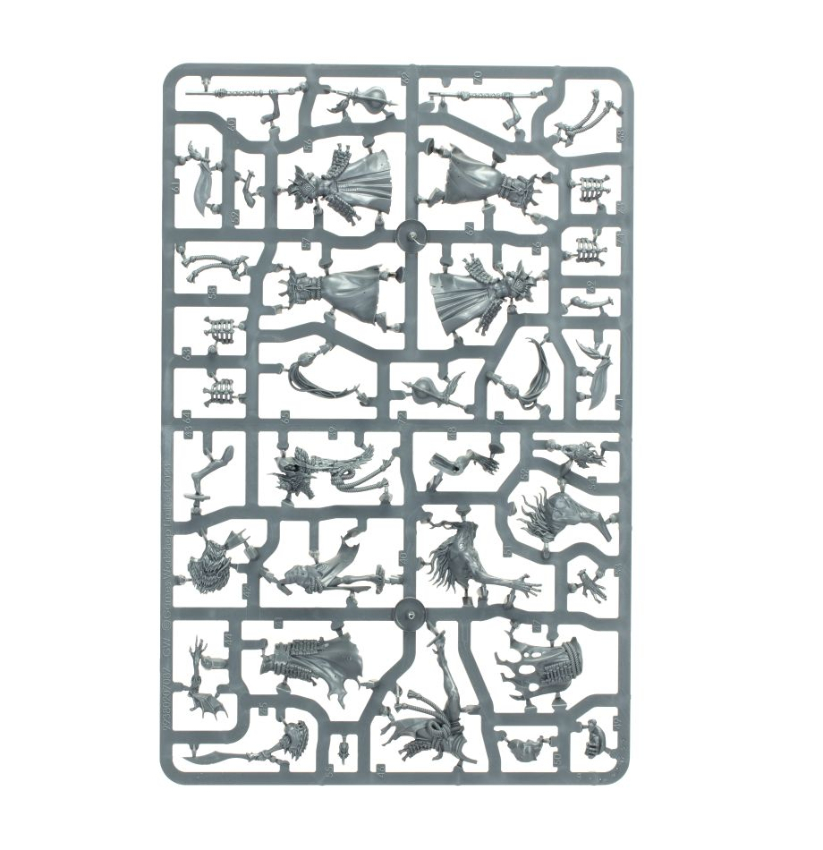 Warcry: Askurgan Trueblades