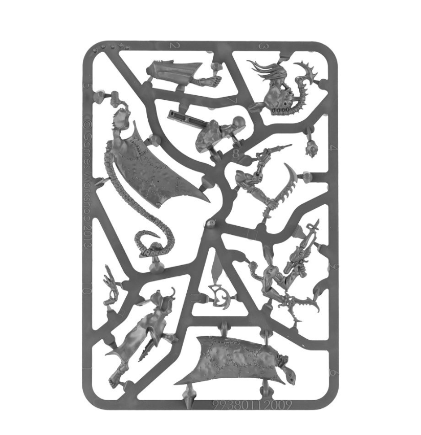 Haemonculus