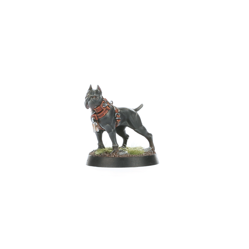 Warcry: Wildercorps Hunters