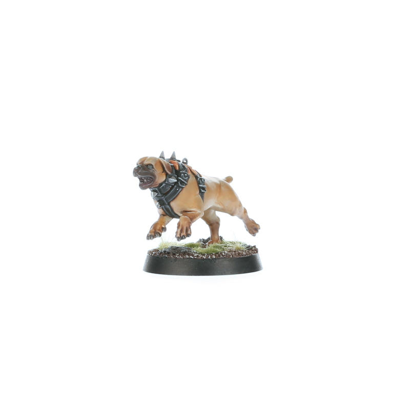 Warcry: Wildercorps Hunters