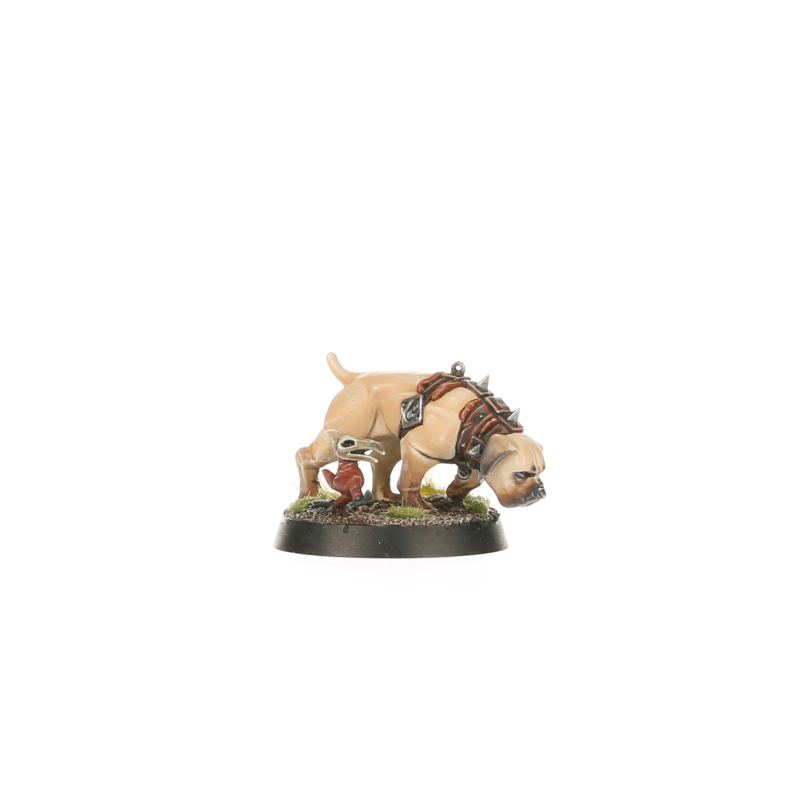 Warcry: Wildercorps Hunters