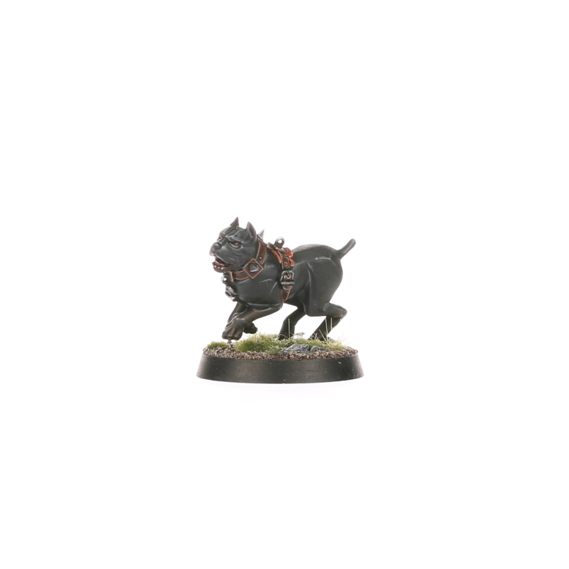 Warcry: Wildercorps Hunters