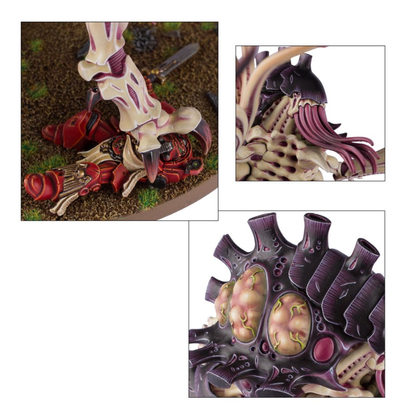 Maleceptor