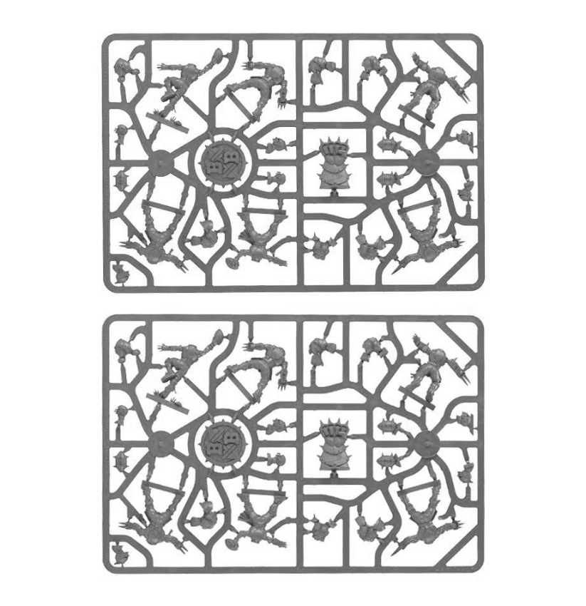 Human Team: Reikland Reavers