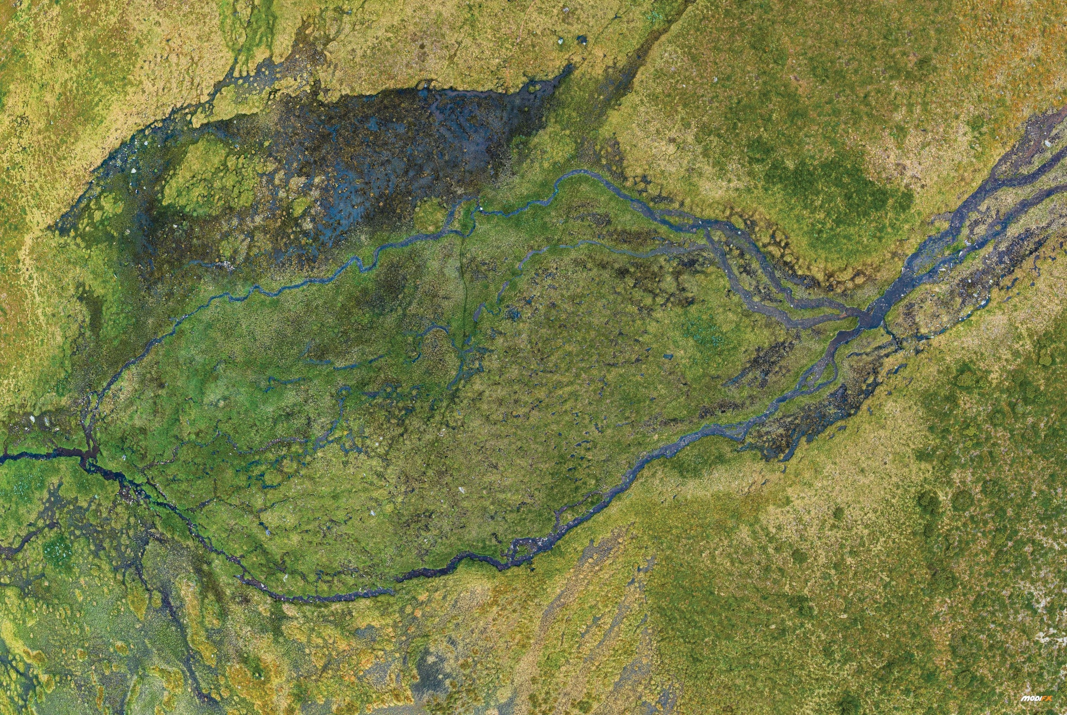 Modifx: 6' x 4' Fields of NZ Battlemat
