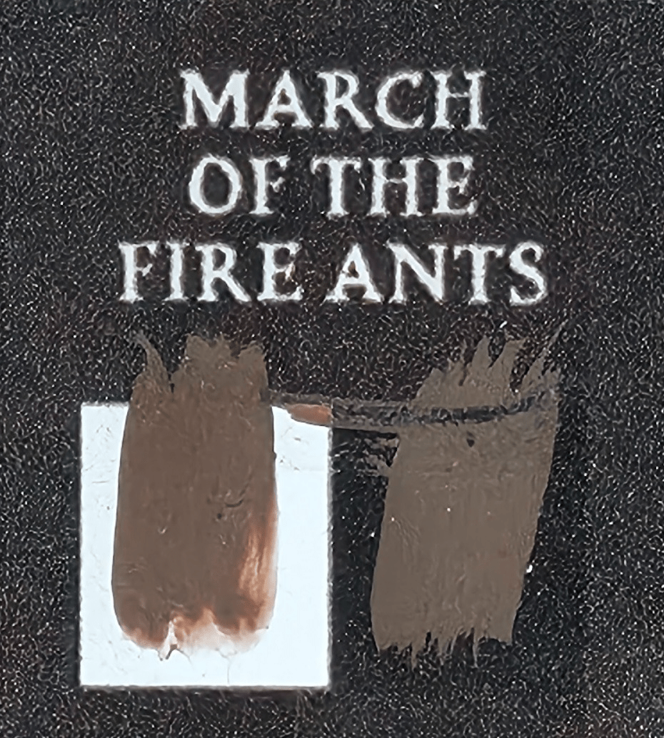 Bear Cavalry Paints: March of the Fire Ants 20ml colour sample