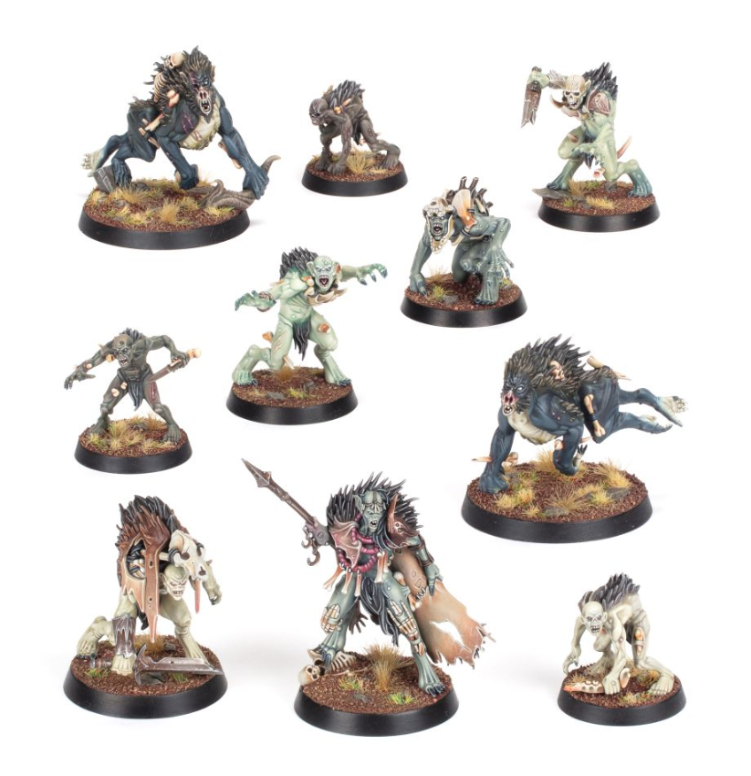 Warcry: Royal Beastflayers - Warhaus