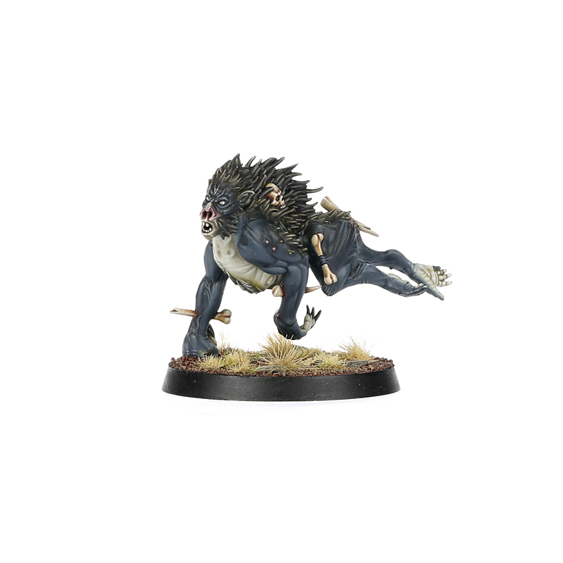 Warcry: Royal Beastflayers - Warhaus