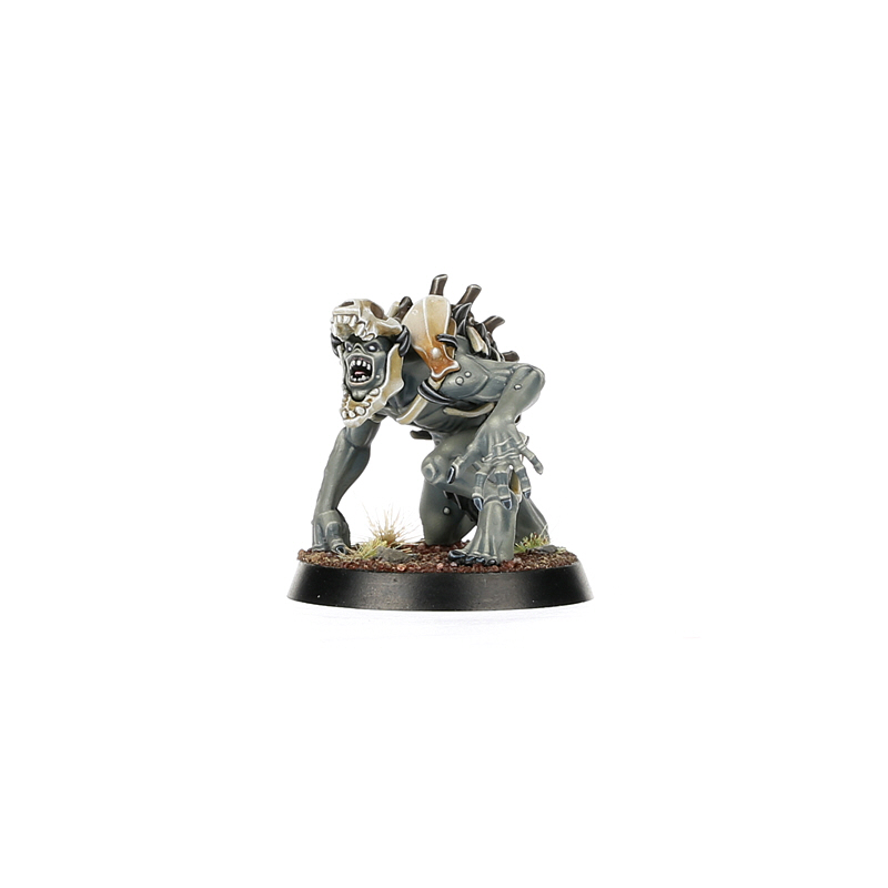 Warcry: Royal Beastflayers - Warhaus