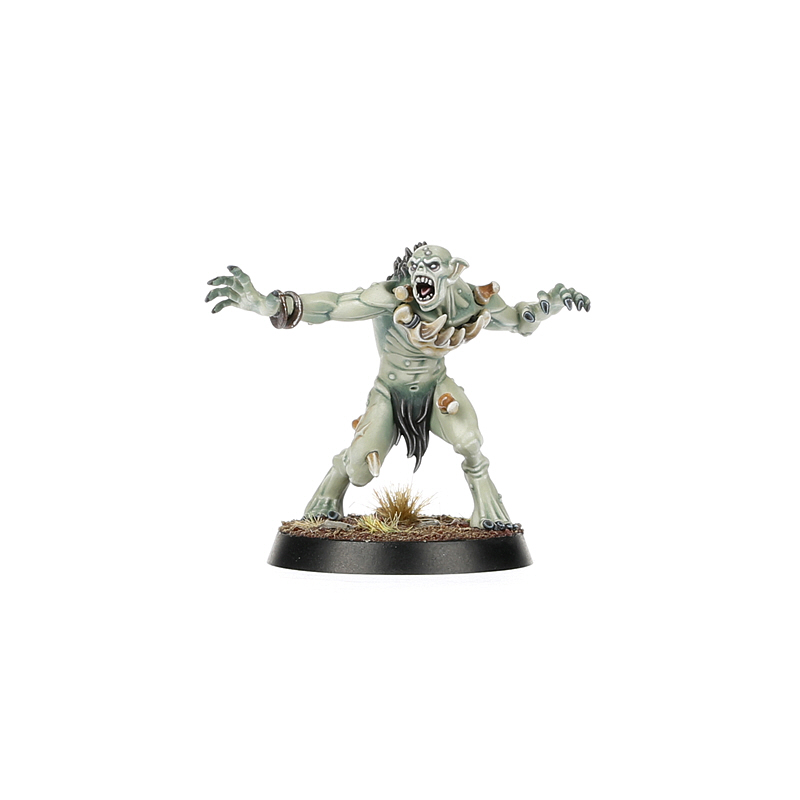 Warcry: Royal Beastflayers - Warhaus
