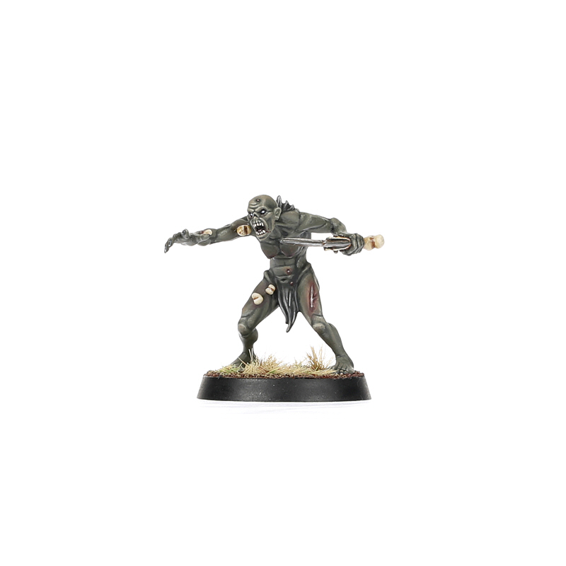 Warcry: Royal Beastflayers - Warhaus