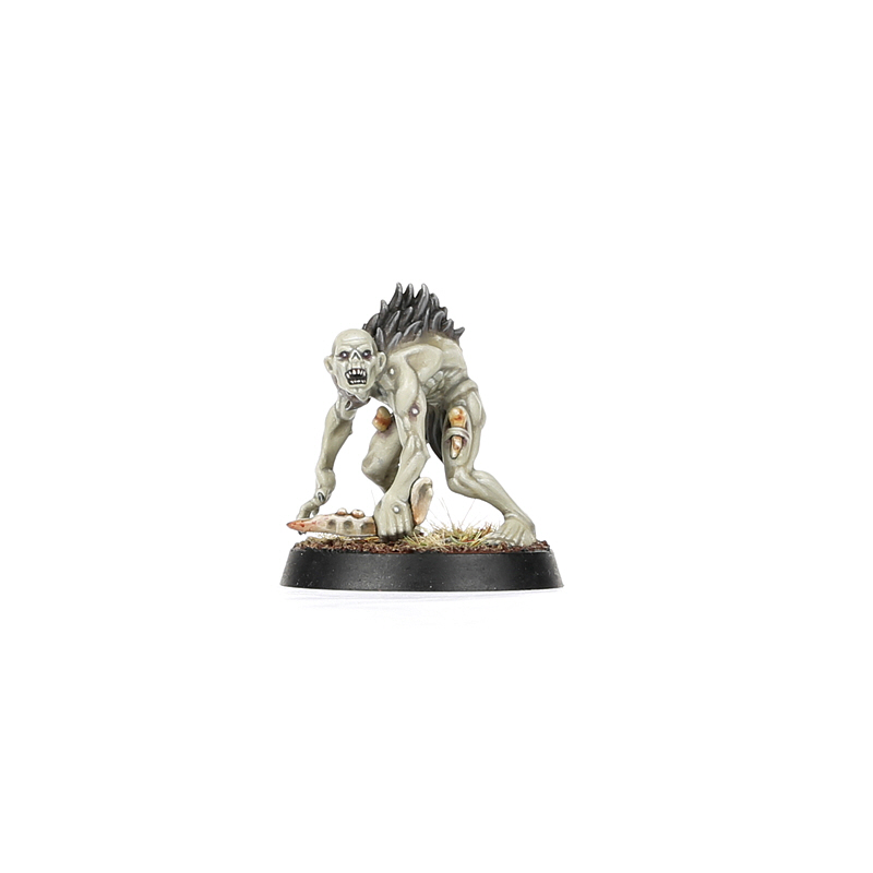 Warcry: Royal Beastflayers - Warhaus