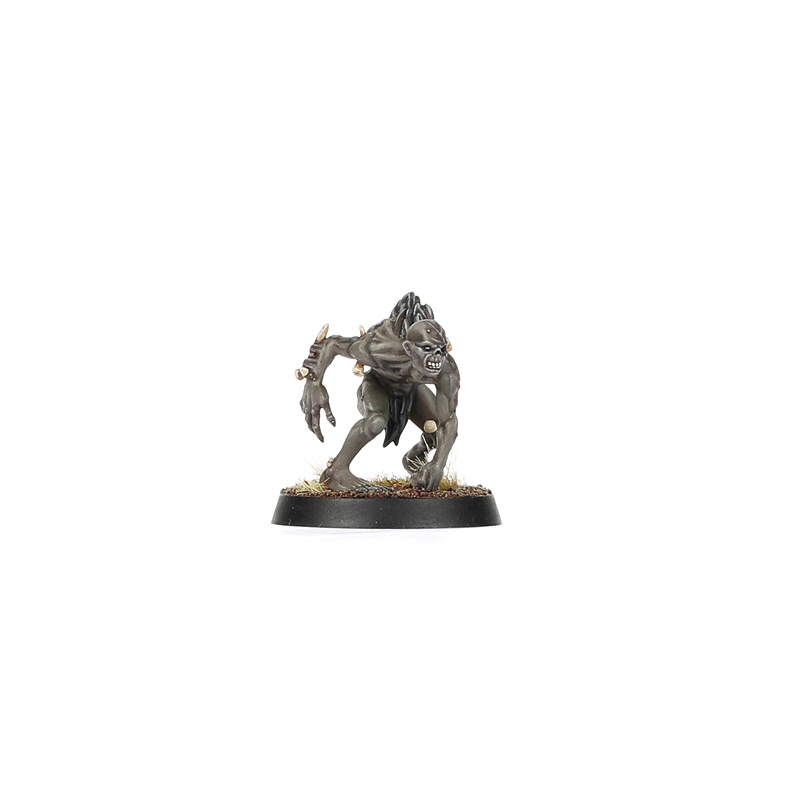 Warcry: Royal Beastflayers - Warhaus