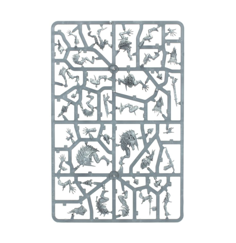 Warcry: Royal Beastflayers - Warhaus
