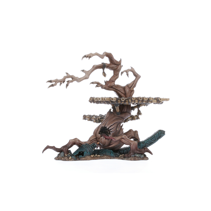 Elder Gnarloak
