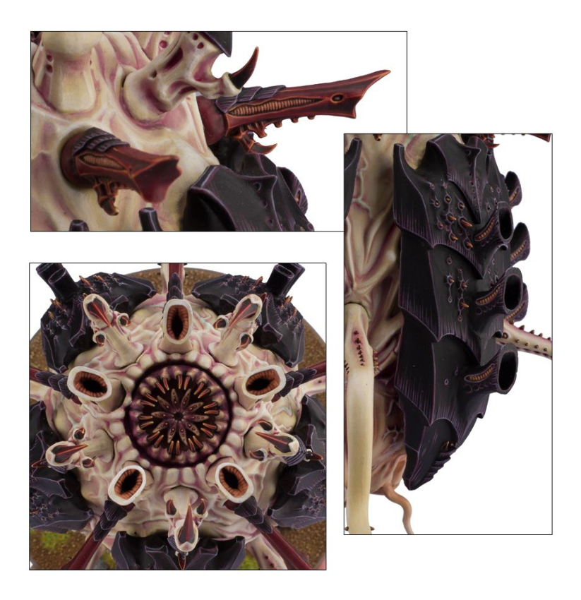 Tyrannocyte