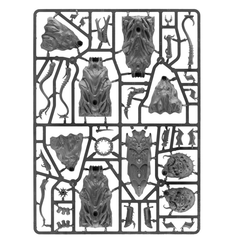Tyrannocyte