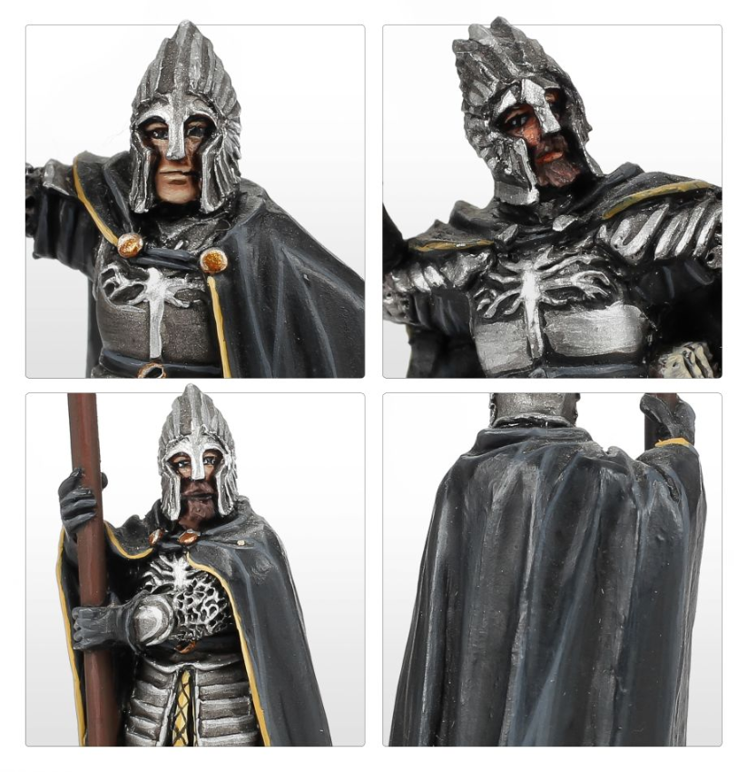 Citadel Guard