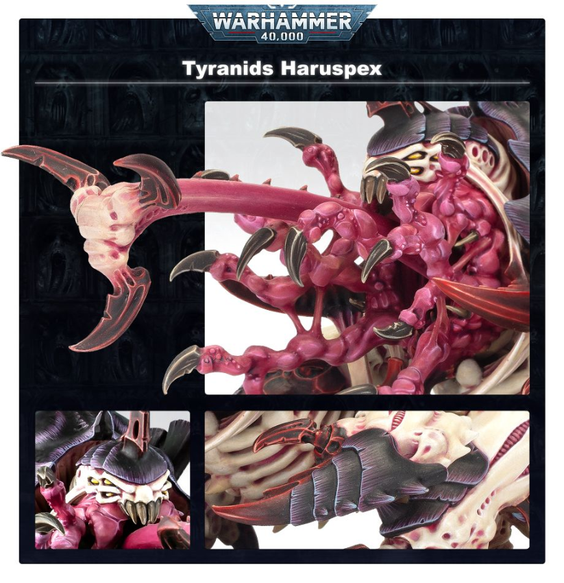 Haruspex