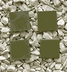 Renedra: 20 X 20mm (40)