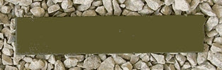 Renedra: 100 X 20mm  (10)