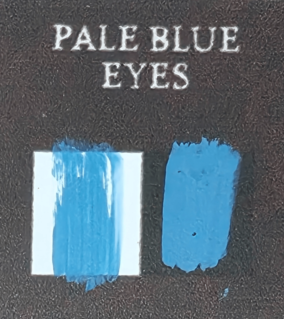 Bear Cavalry Paints: Pale Blue Eyes 20ml colour sample