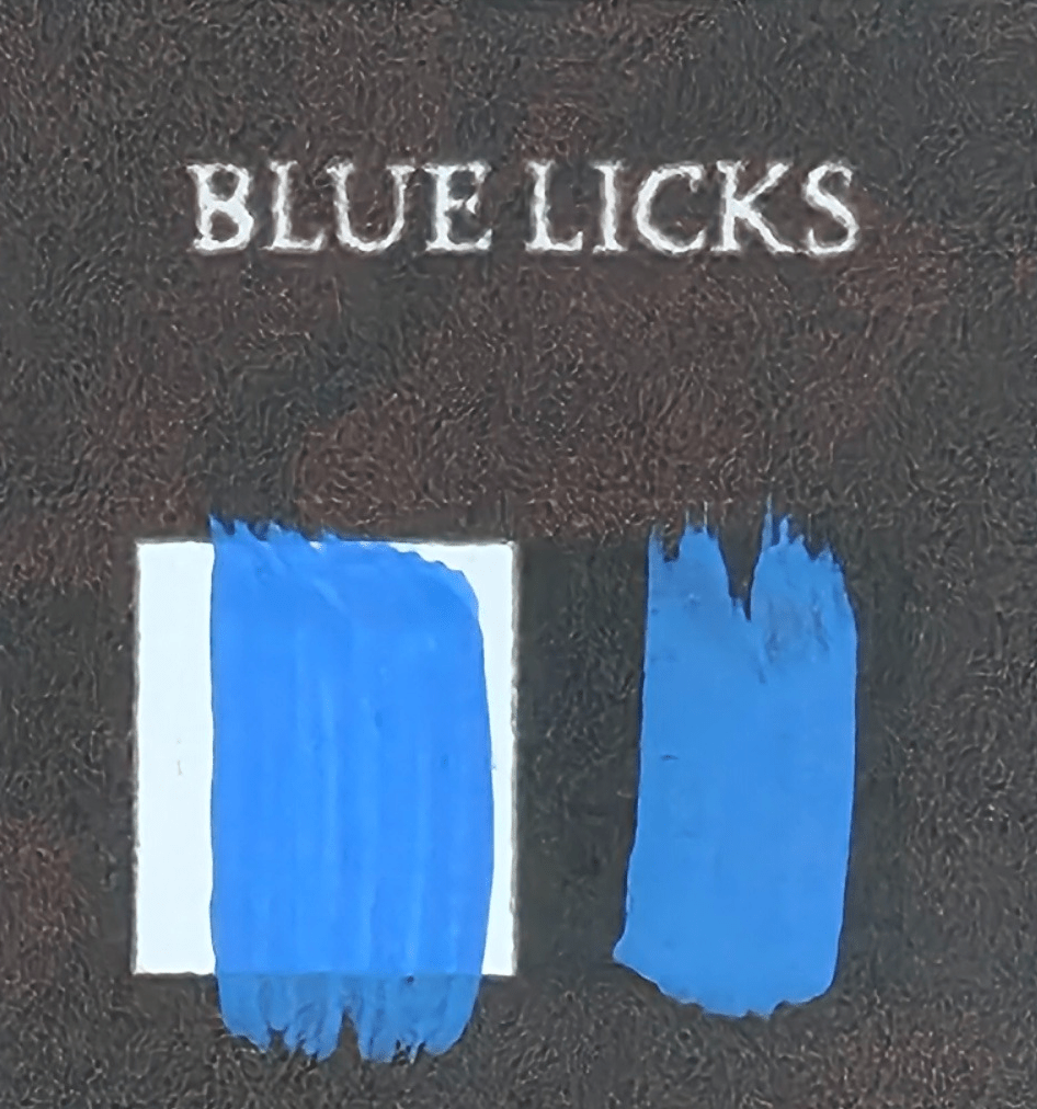 Bear Cavalry Paints: Blue Licks 20ml colour sample