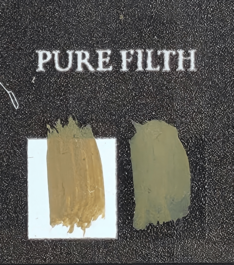 Bear Cavalry Paints: Pure Filth 20ml colour sample