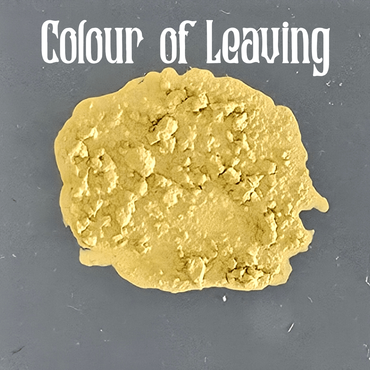 Bear Cavalry Paints: Mud - The Colour of Leaving 2oz colour sample