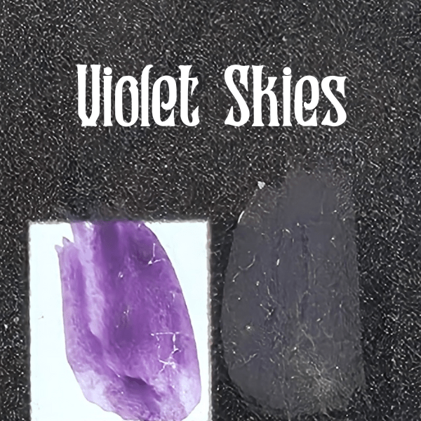 Bear Cavalry Paints: Violet Skies 20ml colour sample