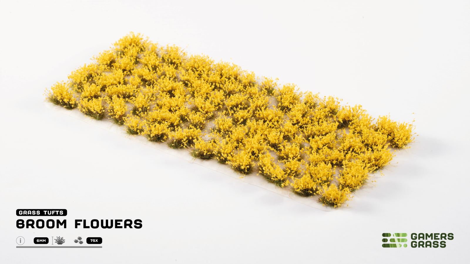 Gamer's Grass: Broom Flowers