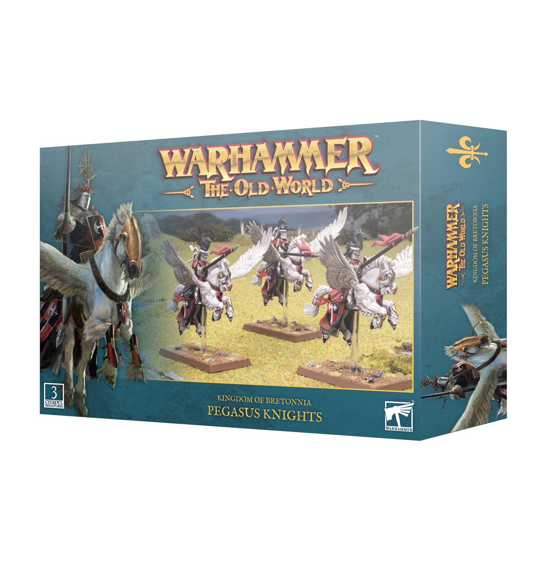 Kingdom of Bretonnia: Pegasus Knights - Warhaus
